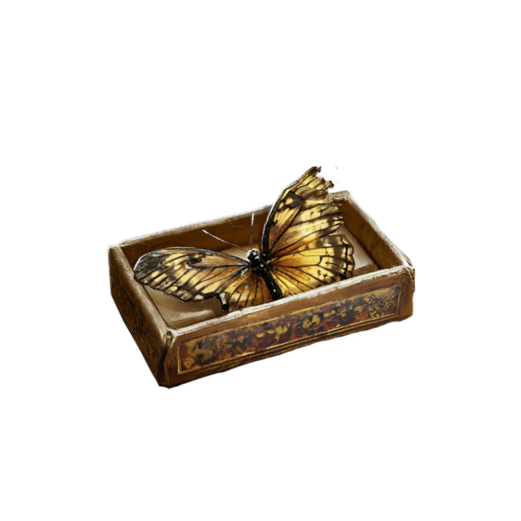Butterfly in a Box
